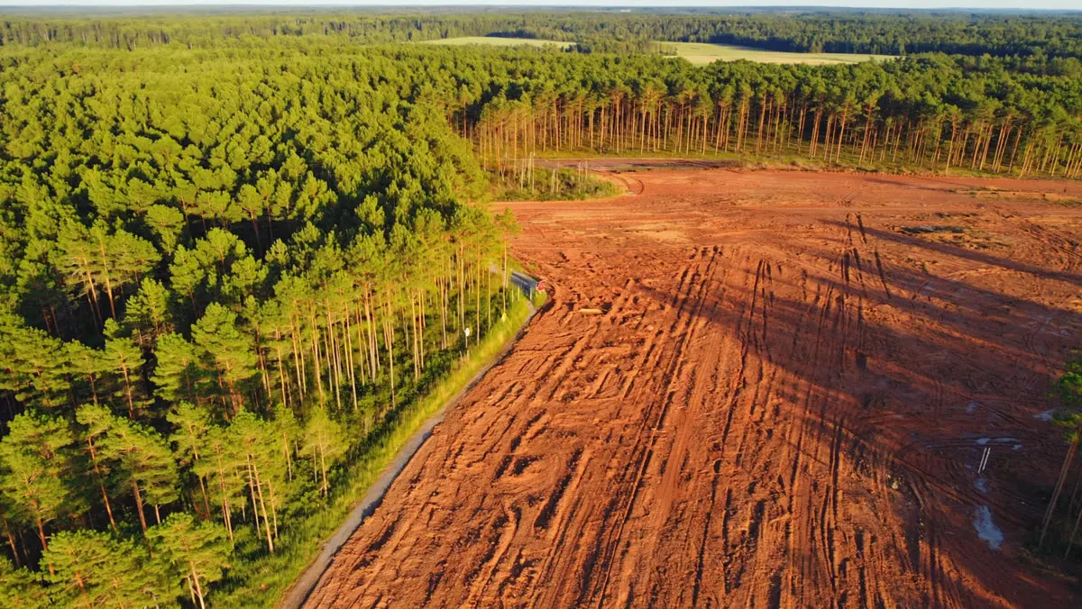 Aerial view of a parcel half cleared to red clay beside pine forest