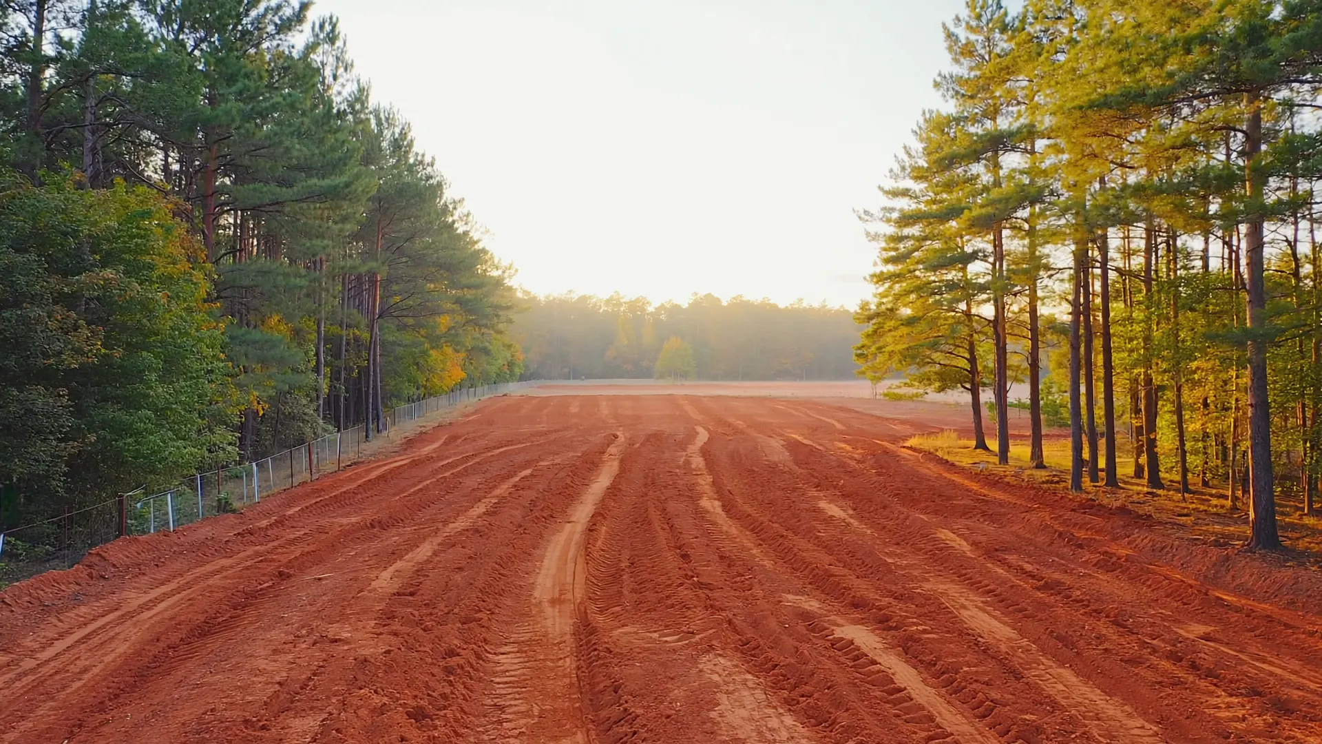 A freshly cleared red clay homesite framed by tall pines at dusk